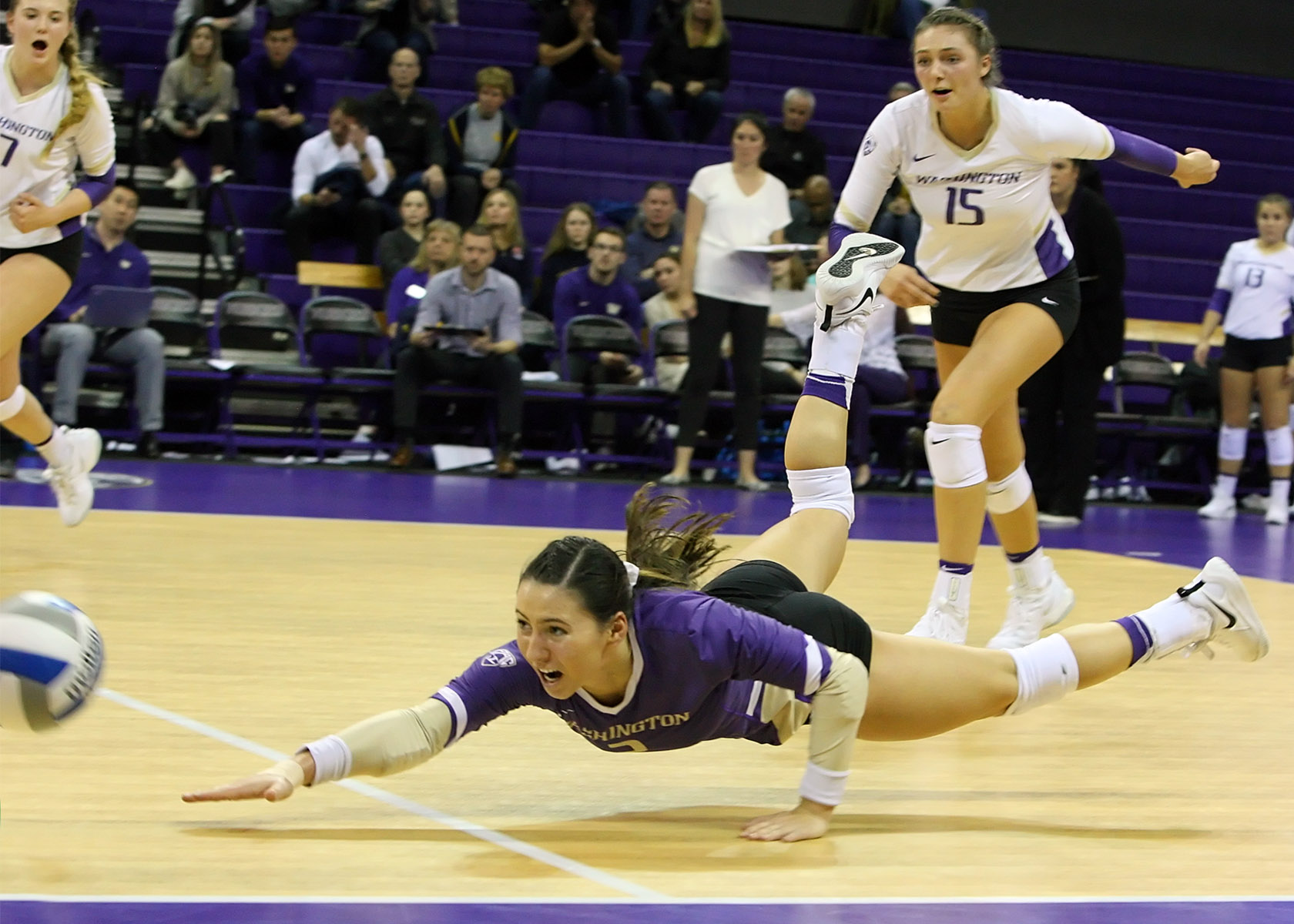 Shayne McPherson diving Shayne McPherson diving