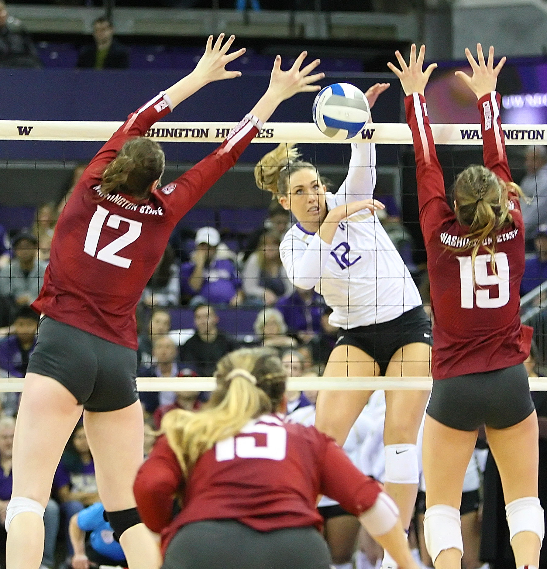 Husky vs. Cougar volleyball Husky vs. Cougar volleyball