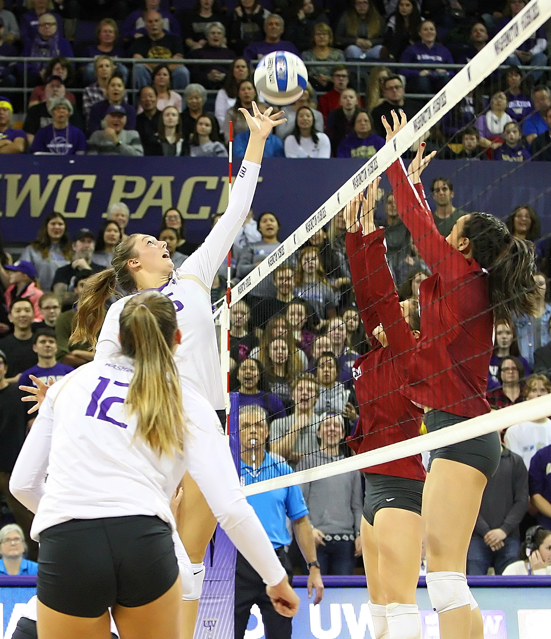 Cougar volleyball Cougar volleyball